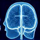 Icon representing medical imaging with a stethoscope and brain scan