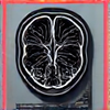 Sample medical scan